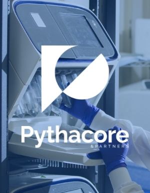 Conseil Audit - Pythacore - Saikiro Lab